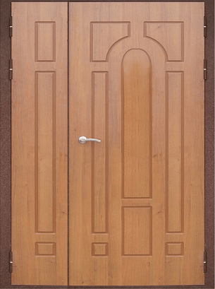 Дверь тамбурная - 1
